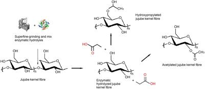 Influences of superfine-grinding and mix enzymatic hydrolysis combined with hydroxypropylation or acetylation on the structure and physicochemical properties of jujube kernel fiber